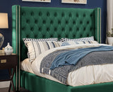 Designed Upholstered Bed