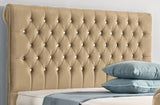 Arcade Sleigh Upholstered Bed