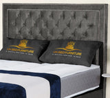 Hamilton Upholstered Bed