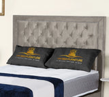 Hamilton Upholstered Bed