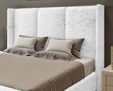 Miami winged Upholstered Bed
